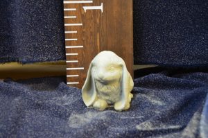 Lopped eared rabbit